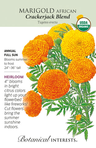 Crackerjack Blend African Marigold Seeds