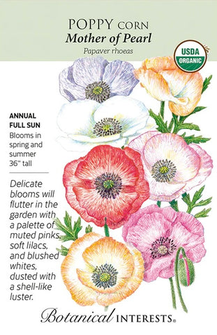Mother of Pearl Corn Poppy