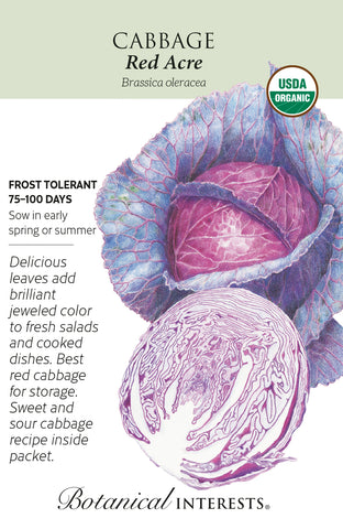 Red Acre Cabbage Seeds