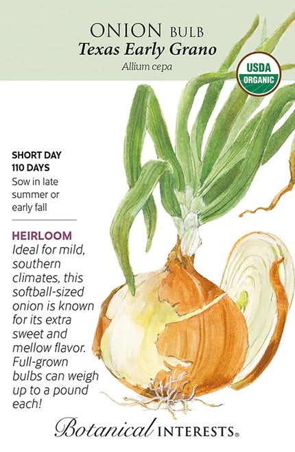Texas Early Grano Bulb Onion Seed