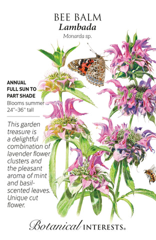 Lambada Bee Balm Seeds