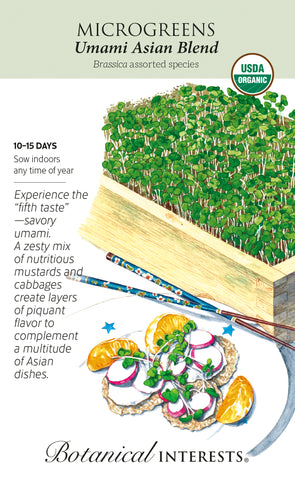 Umami Asian Blend Microgreens Seeds