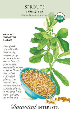 Fenugreek Sprouts Seeds