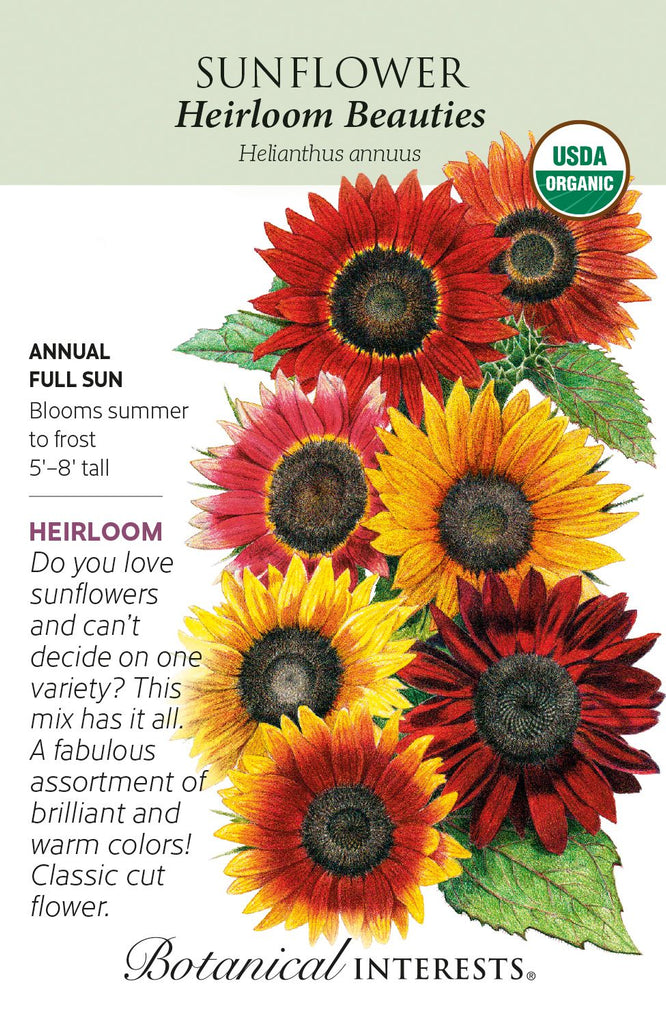 Heirloom Beauties Sunflower