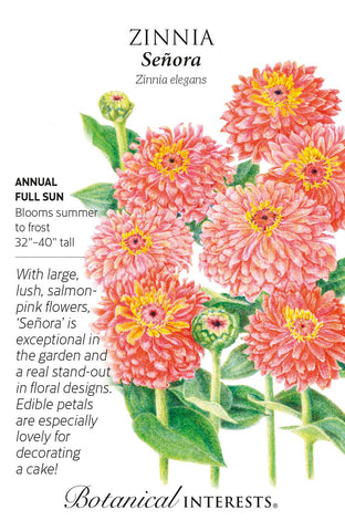 Señora Zinnia Seeds