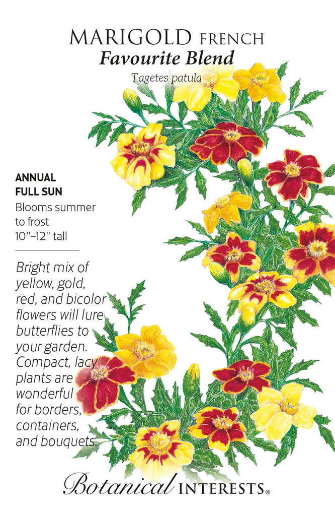 Favourite Blend French Marigold Seeds