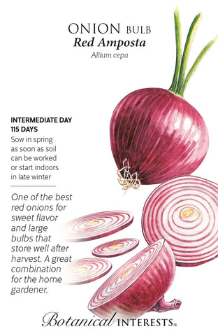 Amposta Red Bulb Onion Seeds