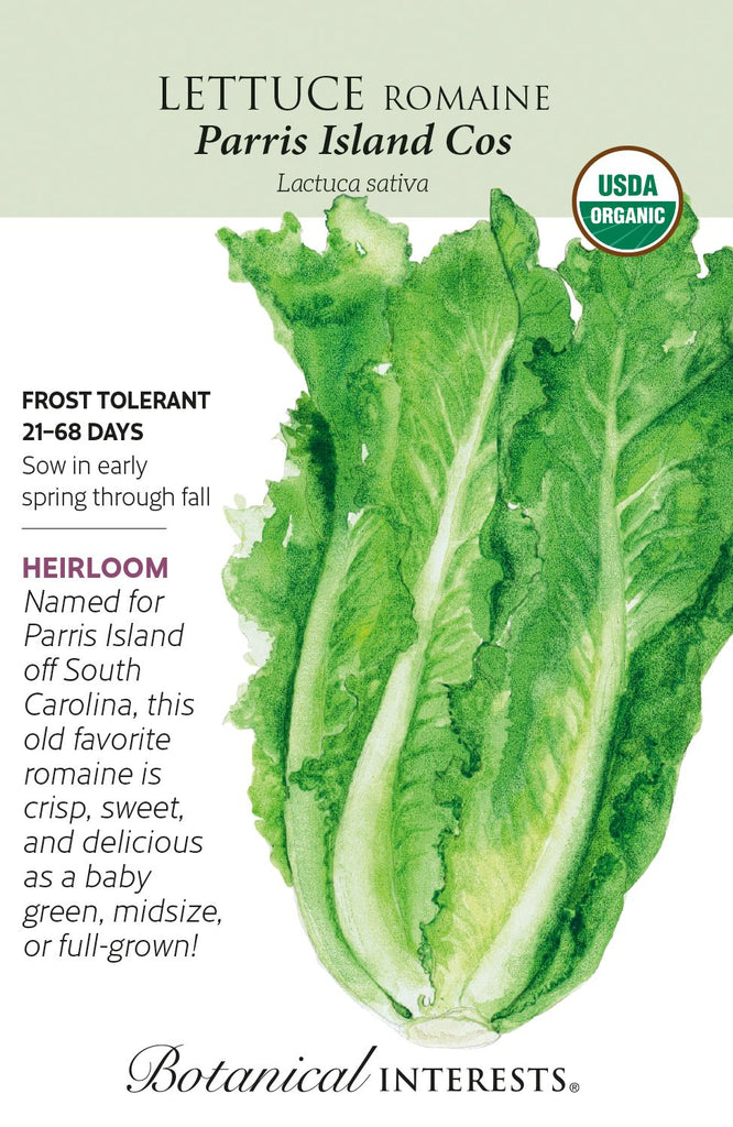 Parris Island Cos Lettuce Organic Seed