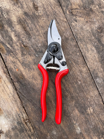 Felco 6 Pruners