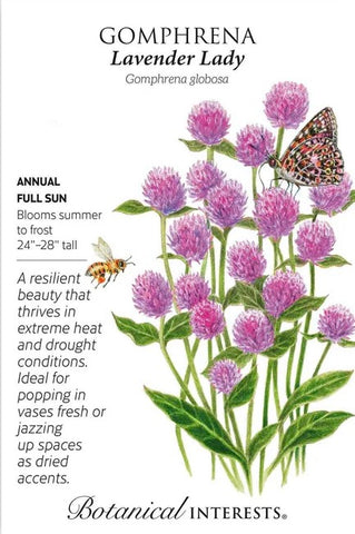 Lavender Lady Gomphrena Seeds