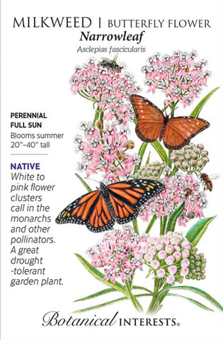 Narrowleaf Milkweed Butterfly Flower Seeds