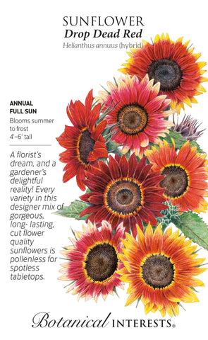 Drop Dead Red Sunflower Seeds