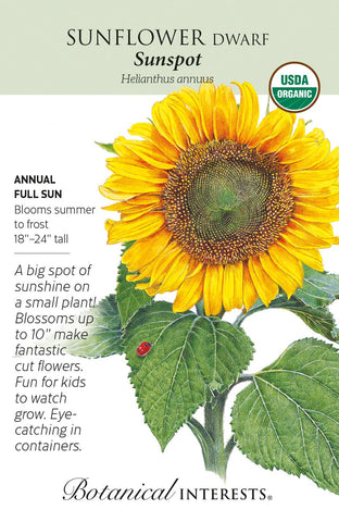 Sunspot Dwarf Sunflower Seeds