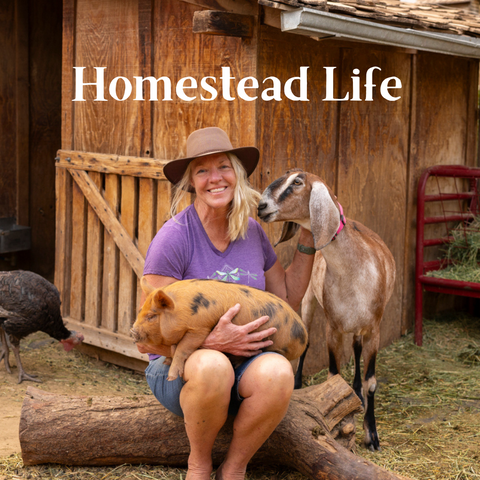 Small Acreage Homesteading: A Step-by-Step Course