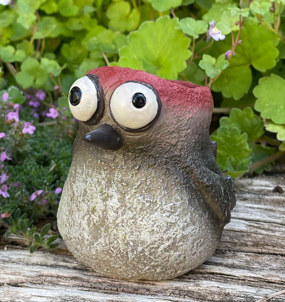 plant pot critters Alexander Axolotl Bany Salamander Blobhouse Planter