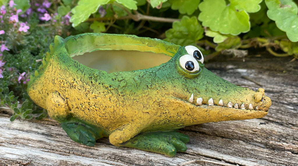 crocodile plant pot Alexander Axolotl Bany Salamander Blobhouse Planter