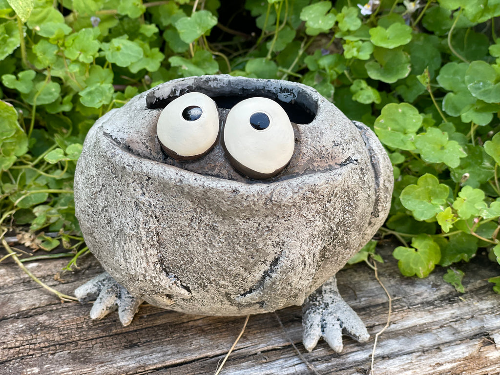 plant pot critters Alexander Axolotl Bany Salamander Blobhouse Planter
