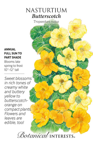 Butterscotch Nasturtium Seeds
