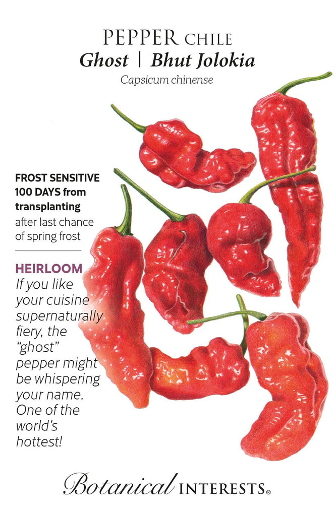 Ghost Bhut Jolokia Chile Pepper Seed