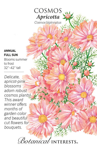 Apricottta Cosmos Seeds