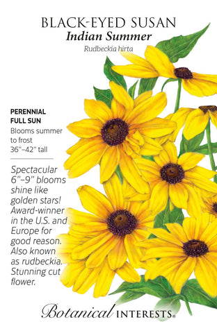 Indian Summer Black-Eyed Susan