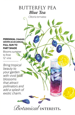 Blue Tea Butterfly Pea Seeds