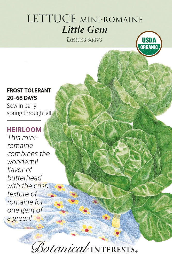 Little Gem Romaine Lettuce