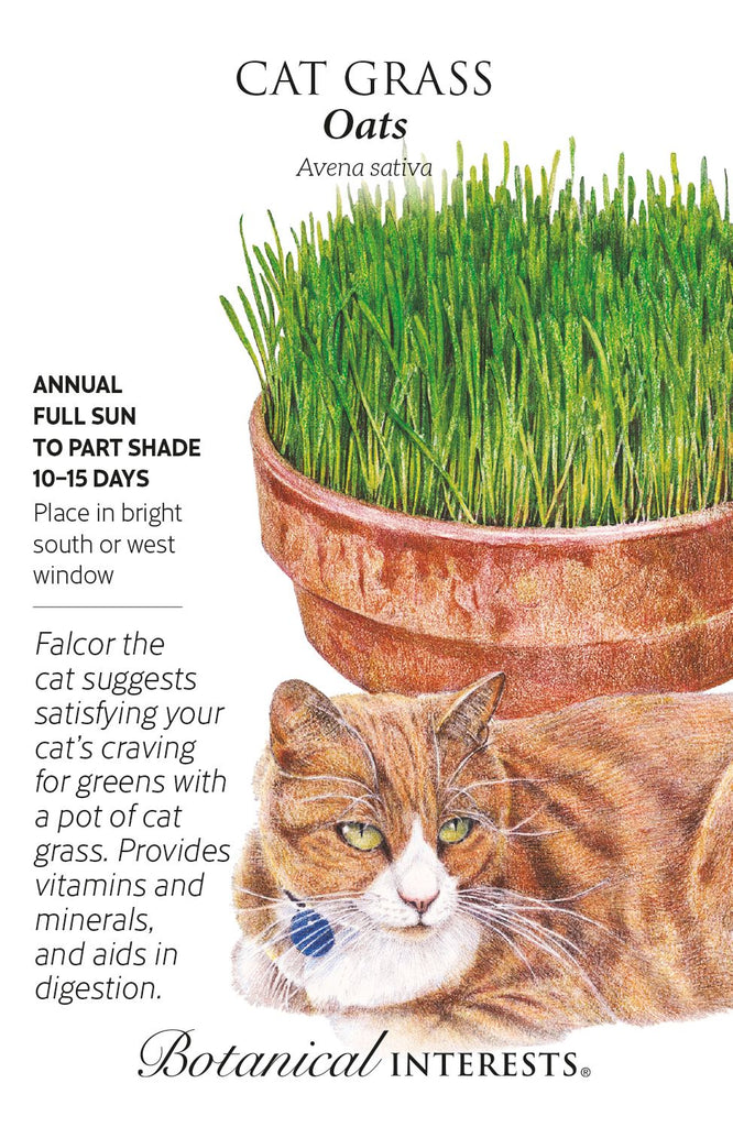 Cat Grass Mix Seeds
