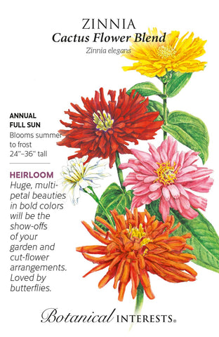 Cactus Flower Blend Zinnia Seeds