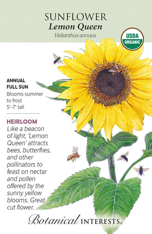 Lemon Queen Sunflower Seeds