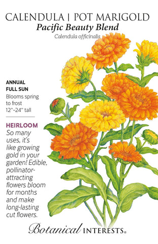 Pacific Beauty Blend Calendula Pot Marigold
