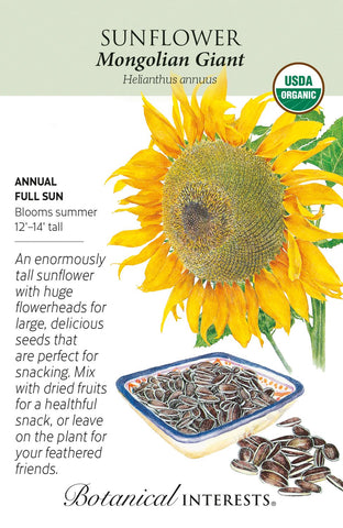 Mongolian Giant Sunflower Seeds