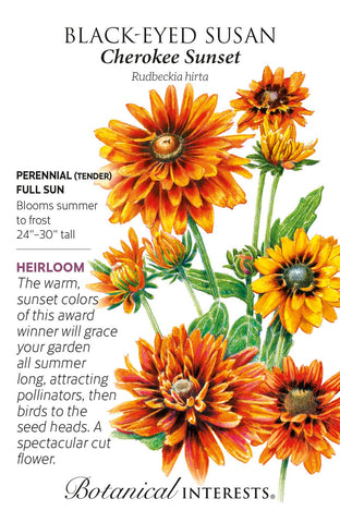 Cherokee Sunset Black Eyed Susan Seeds