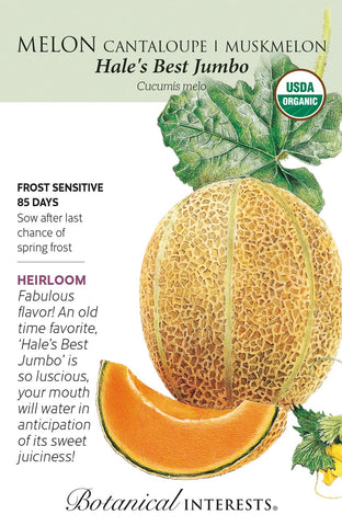 Hale's Best Jumbo Cantaloupe/ Muskmelon Seeds