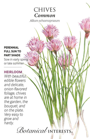 Chives Herb Seed