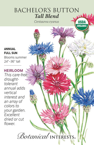 Tall Blend Bachelor's Button Seed