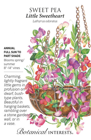 Little Sweetheart Sweet Pea Seeds