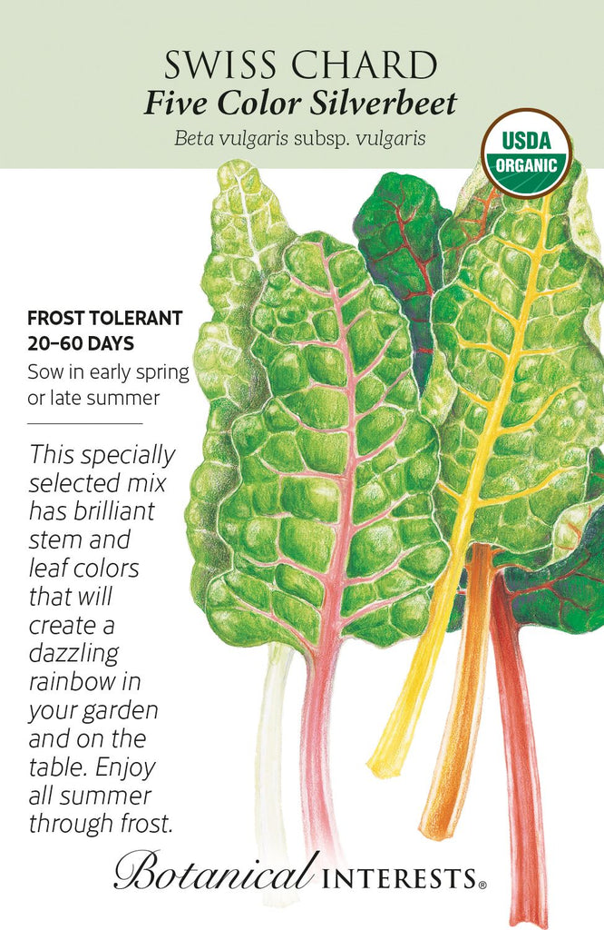 Five Color Swiss Silverbeet Chard Seeds