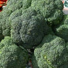 Belstar Broccoli Seeds