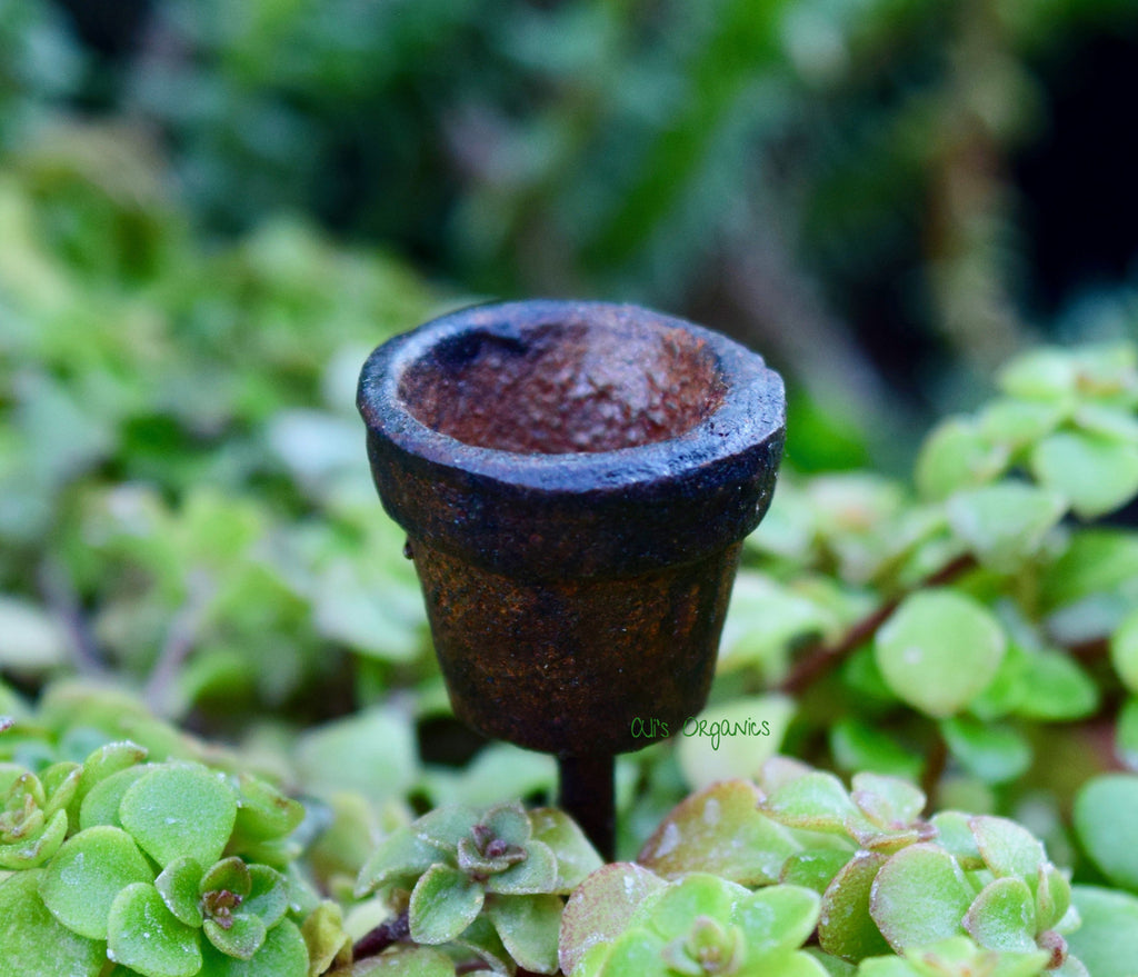 Cast Iron Miniature Flower Pot