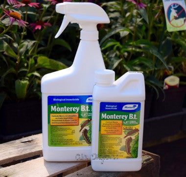 Biological Insecticide Bt