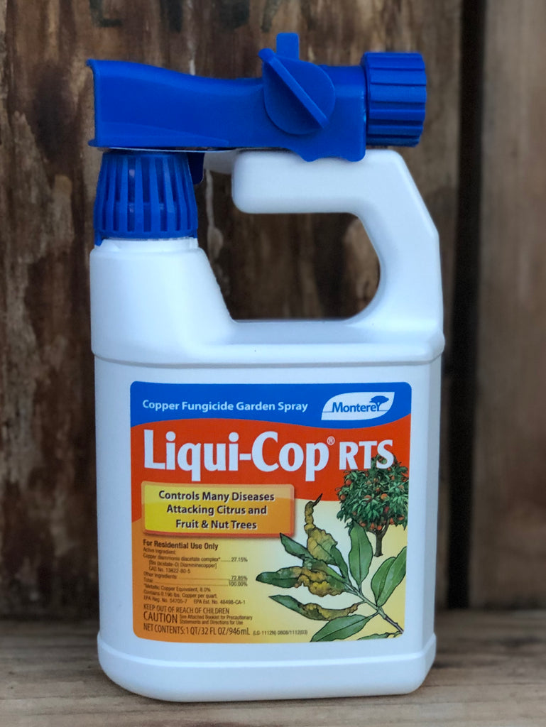 copper spray garden Bonide Copper Fungicide Dust & Spray