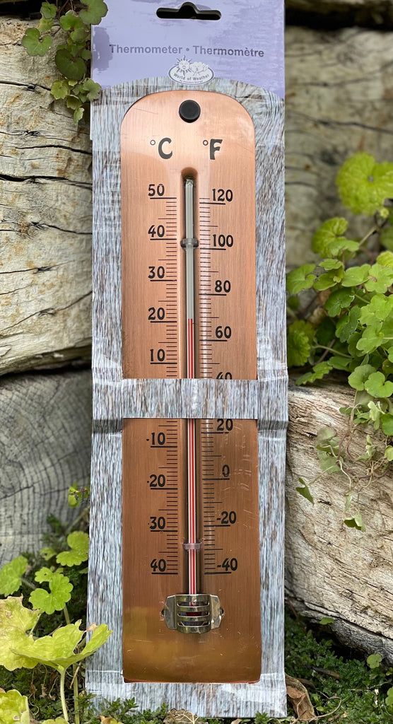 Copper Planted Thermometer