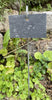 Slate Plant Markers & Soapstone Chalk