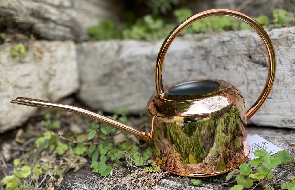 copper watering can for indoor plants Enamel & Copper Plated Watering Cans
