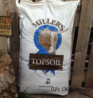 Top Soil Blend 1 Cu Ft Bag