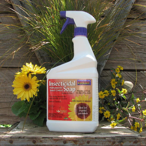whitney farms insecticidal soap Bonide Insecticidal Soap RTU & Concentrate