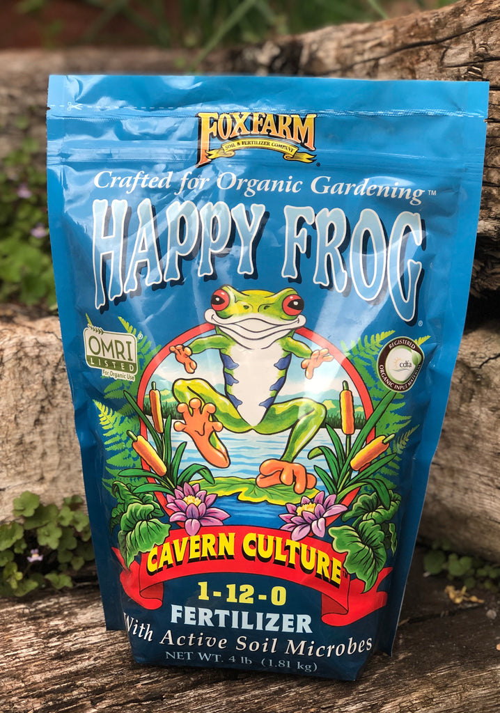 Happy Frog Cavern Culture