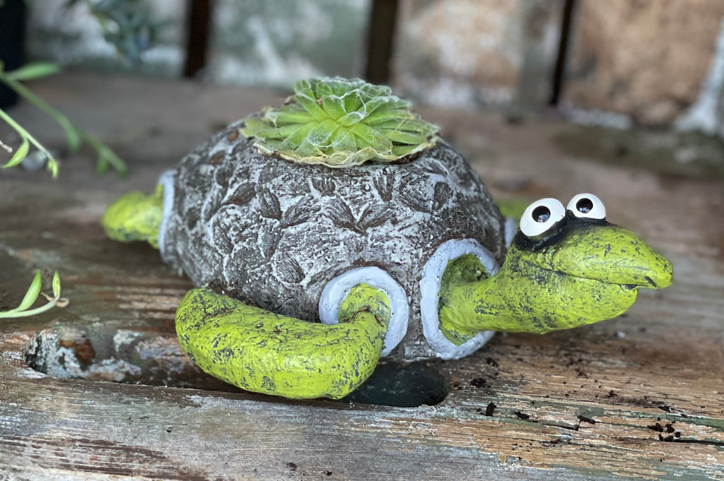 plant pot critters Alexander Axolotl Bany Salamander Blobhouse Planter