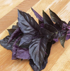 Petra Purple Basil Herb Seed